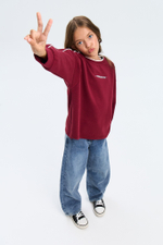 Джемпер дл/р д/д DELORAS 22699