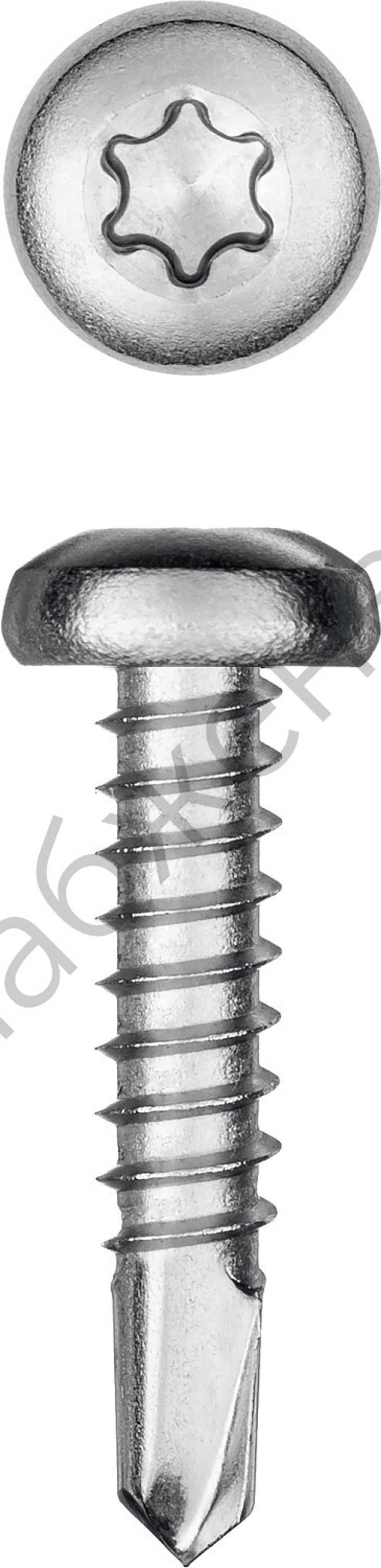 KRAFTOOL DS-P 19 х 4.8 мм, А2, сверло, полукр. головка, ТХ25, саморез нержавеющий, 350 шт (300931-48-019)