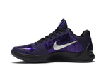 Кроссовки Nike Zoom Kobe 5 Zk5