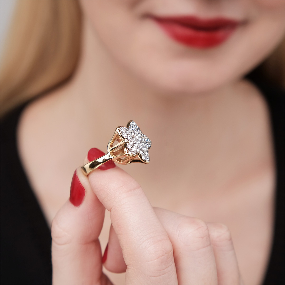 Кольцо "Эйлера"