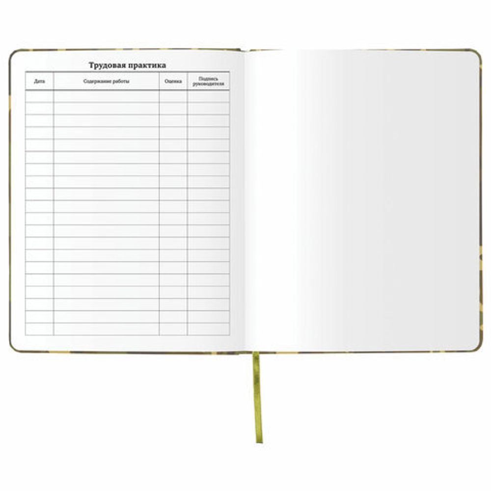 Дневник 1-11 класс 48 л., обложка кожзам (твердая), печать, аппликация, BRAUBERG, "КАМУФЛЯЖ", 105992