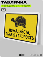 Табличка "Пожалуйста, сбавьте скорость" на дверь и забор, для двора, дома, подъезда, 40х30 см, Silver Plane x Айдентика Технолоджи