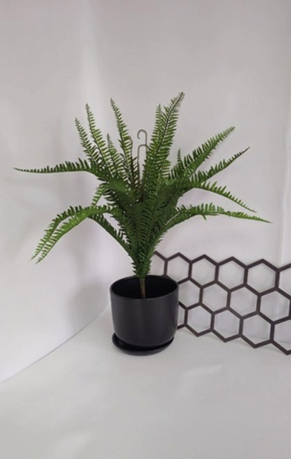 Папоротник темно-зеленый / Арт 6272