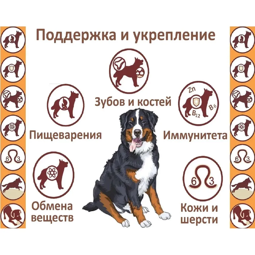 Сухой корм Дилли для взрослых собак с индейкой и рисом