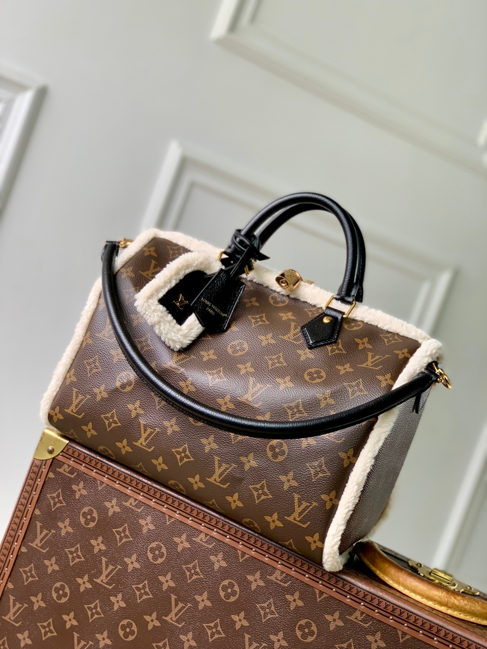 Louis Vuitton Speedy Soft 30