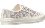 Кеды DIOR Walk'N'Dior Embroidered Canvas Low Grey, KCK211OBE_S33G