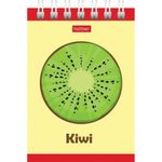 Блокнот МАЛЫЙ ФОРМАТ (75х105 мм) А7, 40 л., гребень, тонированный блок, без линовки, HATBER "Яркий Фреш", 40Б7Вгр