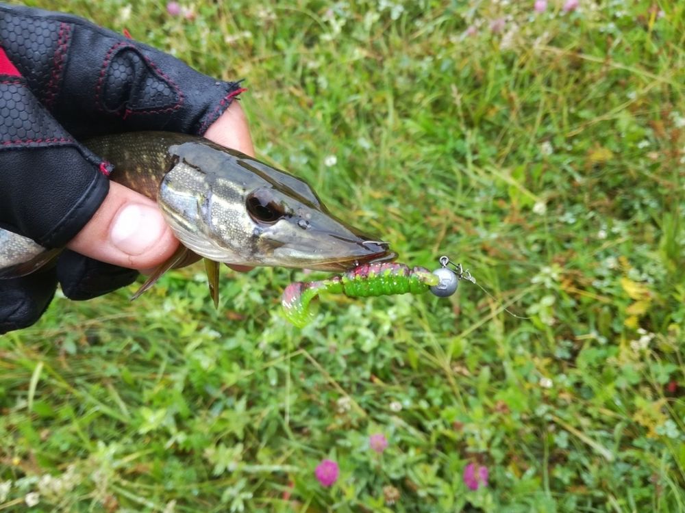 Мягкая приманка Lucky John Series ALIEN BUG 2,5in (63 мм), цвет 085, 7 шт/уп