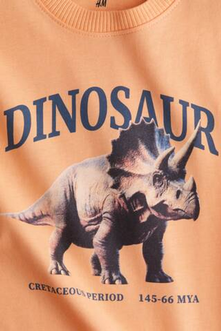 H&M Футболка с принтом, светло-оранжевый