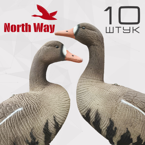 Белолобый гусь S-XPE мод. B6112X