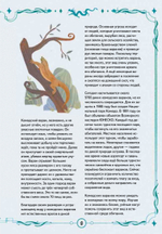 Книга выживших драконов. BIObook А. Толмачёва