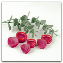 вайнеры и каттеры эвкалипт