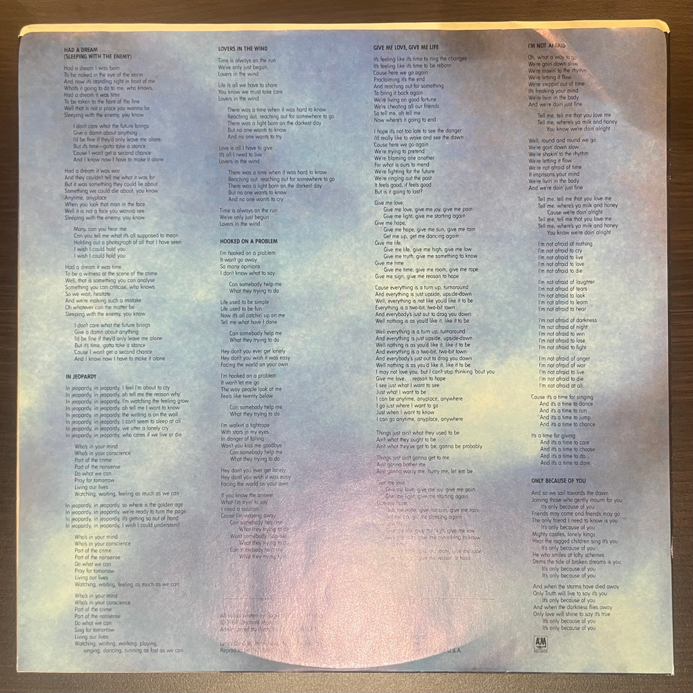 Виниловая пластинка Roger Hodgson ‎– In The Eye Of The Storm LP