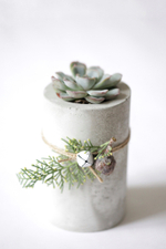 Новогодний набор с суккулентом № 15