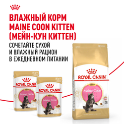 Royal Canin Maine Coon Kitten Корм сухой сбалансированный для котят породы Мэйн Кун - 0,4 кг