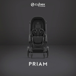 Коляска Cybex Priam IV Matt Black complete и автокресло Cloud G i-Size Almond Beige Plus 3 в 1 Sepia Black