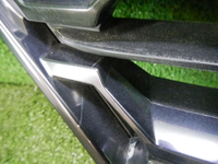 Решетка радиатора Hyundai Santa Fe 4 TM (2018-2021)