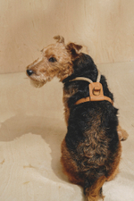 Шлейка "Пони-Макарони" Рыжая (бежевый канат)