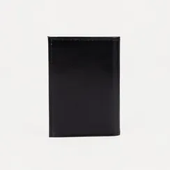 Визитница вертикальная, 18 листов, цвет чёрный