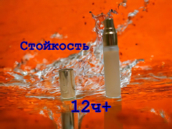 СвеТLана Mr. Newl C&M068-01 Наливная парфюмерия унисекс 10 мл