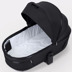 Детская коляска Rant Falcon Therm 2 в 1 Black