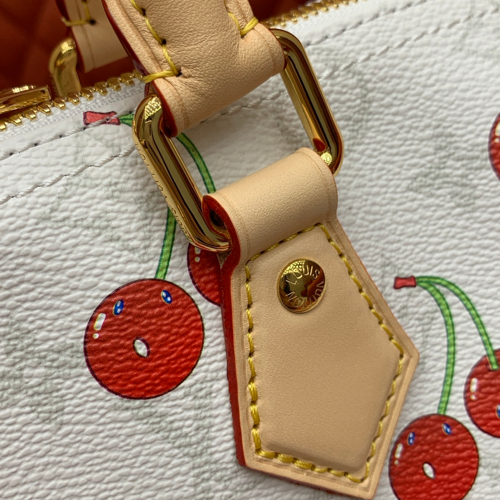 Louis Vuitton Speedy Soft 30