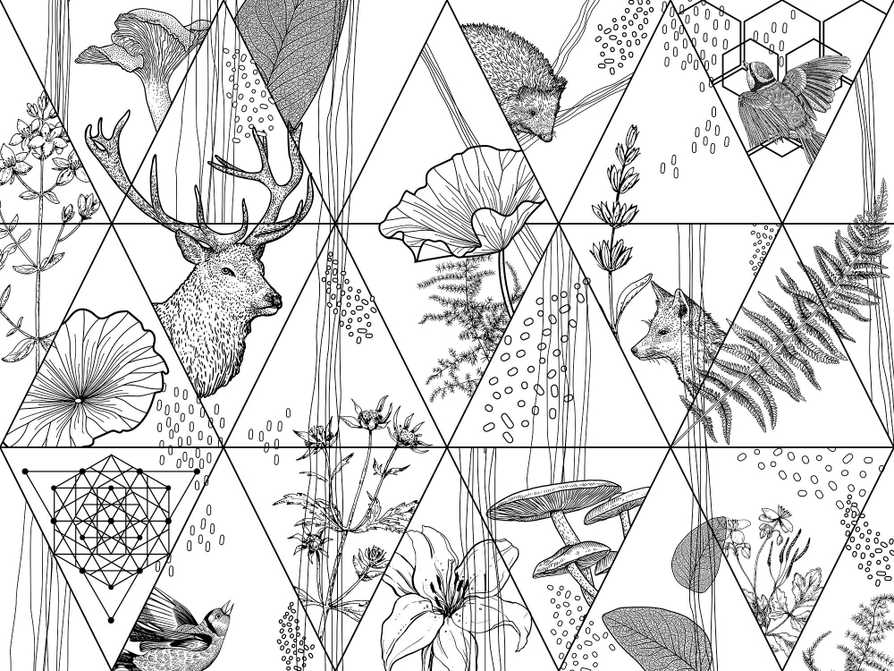 Коллекция Геометрия