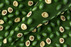 Микровелюр Botanica 10/ Ботаника 10