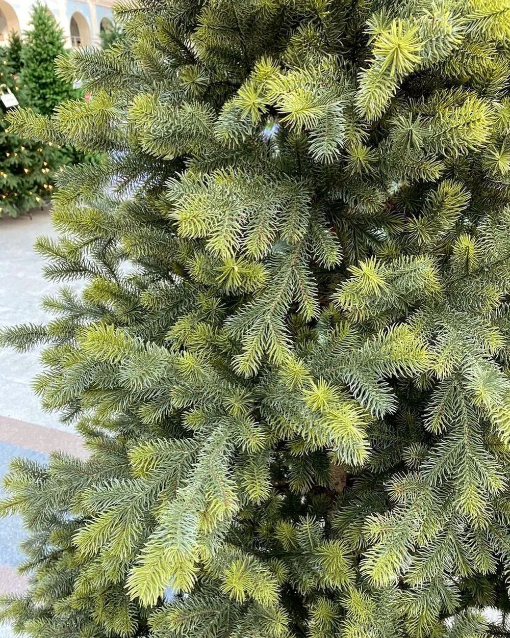 Искусственная ель «Леано» (Литая хвоя) 210 см / 2.1 м