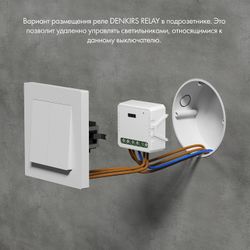 Контроллер-диммер Wi-Fi для смартфонов и планшетов Denkirs Relay RL1003-DM
