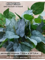 Куст сирени