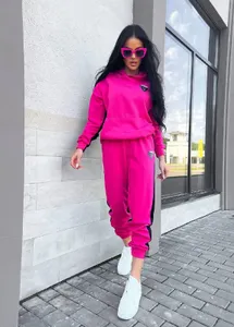 Костюм спортивный УК-817VL-1