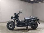 Honda PS250 Big Ruckus MF09-1203394