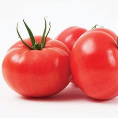 Томимару Мучо F1 семена томата индетерминантного (De Ruiter Seeds / Де Ройтер Сидс)