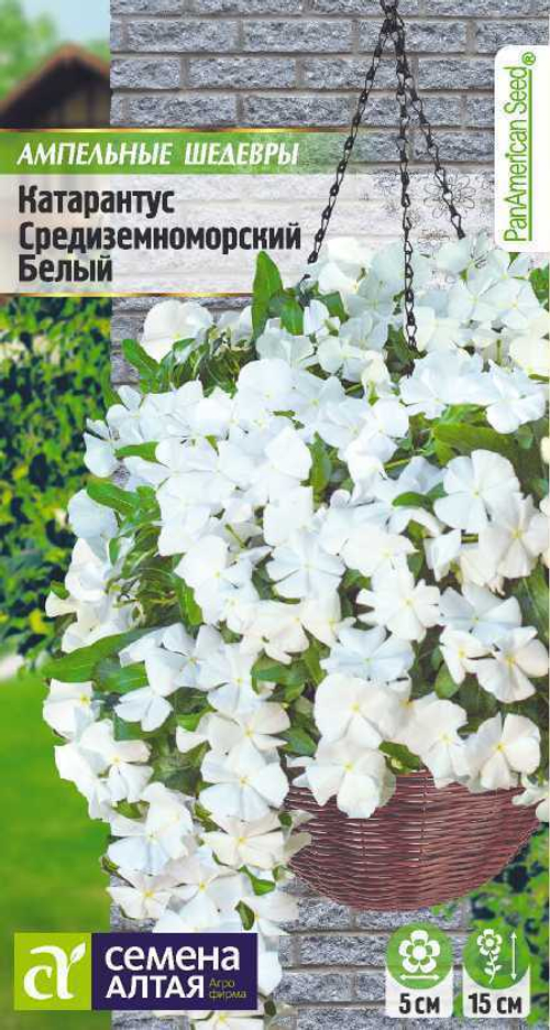 Катарантус Средиземноморский белый