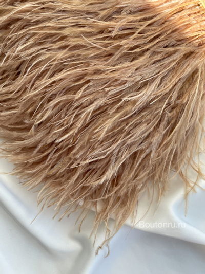 Перо песочное