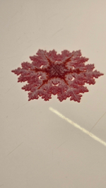 Новогодний магнит на холодильник снежинка, 3D печать, 10 см., красная