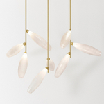 Ceiling design lamp  Gem by Giopato & Coombes (2 lampshade )