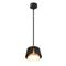 Подвесной светильник Arte Lamp Amaks A8028SP-1BK