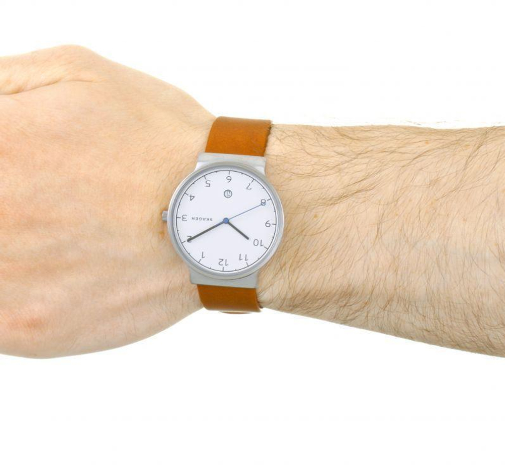 Мужские наручные часы Skagen SKW6433