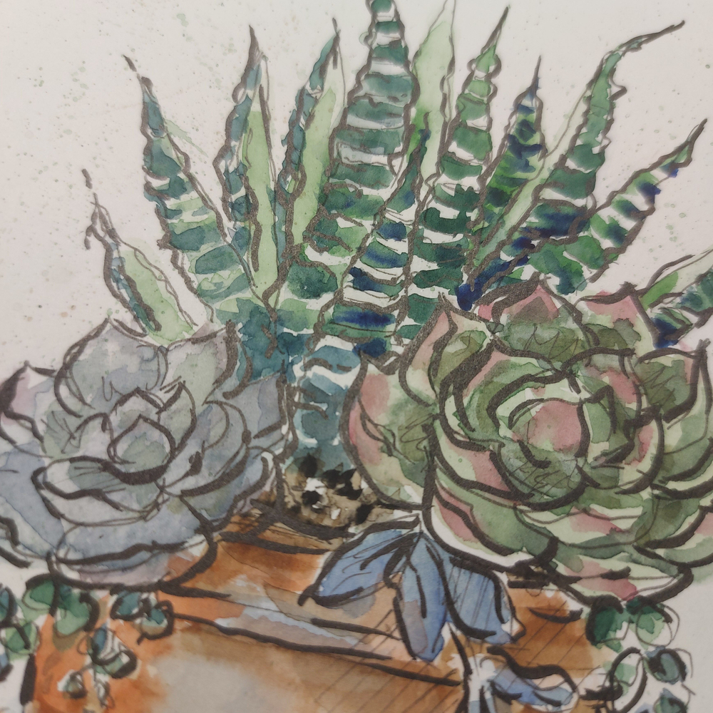 Картина авторская акварельная в паспарту 21х30 см на стену для интерьера "Суккуленты в горшке"