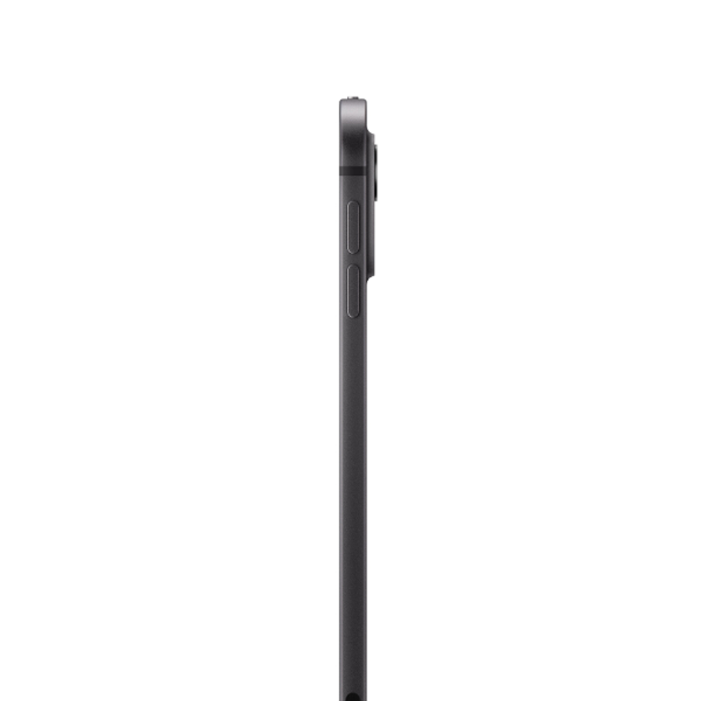 iPad Pro 11" M4 (2024)