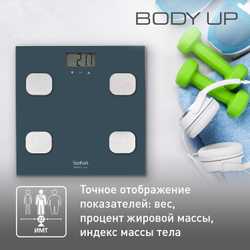 Напольные весы Tefal Body Up BM2520V0
