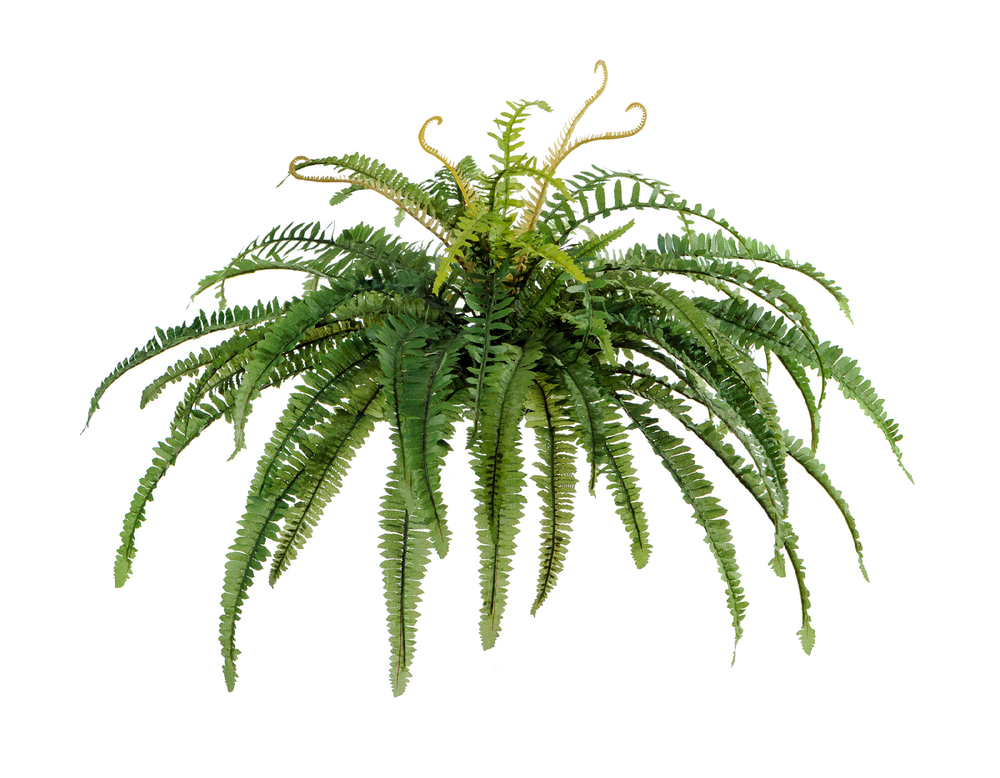 Сет № 9 - Папоротник и филодендрон в кашпо Treez Effectory Beton Чаша тёмно-серый бетон