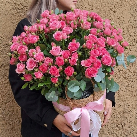 Кустовые розы в кашпо