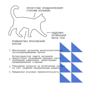 Уценка! Срок 24.08.26 Сухой корм AJO Cat Grand Master для кошек старшего возраста для профилактики МКБ