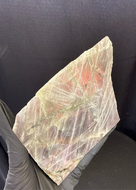 Лабрадор (Спил)