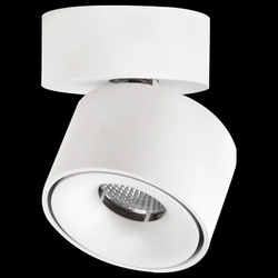 Спот Citilux CL558010N