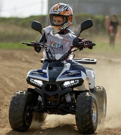 Квадроцикл Yacota Raposa