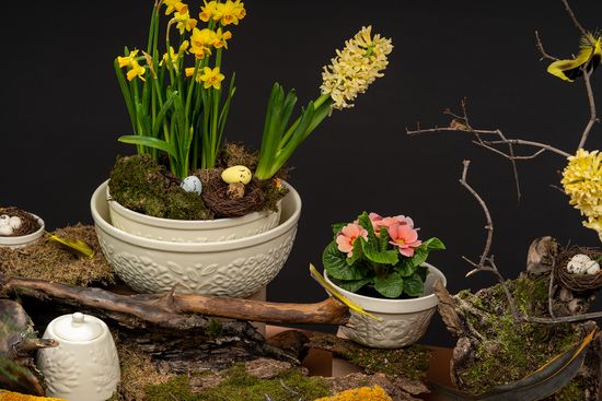 Миска для смешивания birds of paradise, 1,5 л, кремовая